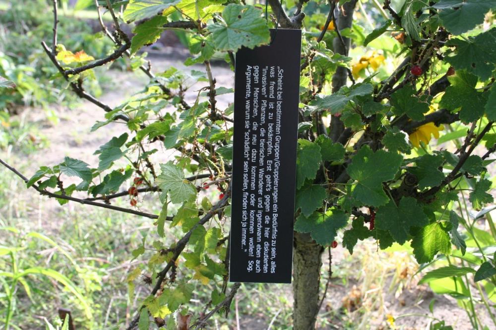“Certain groups/clusters of people seem to feel the need to fight everything alien. At first they fight against the invading plants and the animal wanderers and then  some day against newcomers or even against people who just want to come. The so-called argument, “why they are supposed to be harmful” is always easily to be found …”