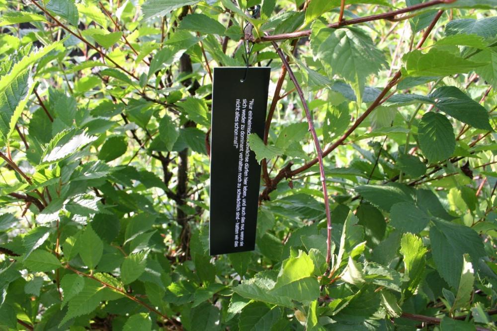 “Only indigenous plants may live here, i.e. only if they are neither too dominant nor too weak. Didn’t we have all that before?”